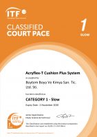 Certificate final - Technical: Technical Classification Certificate